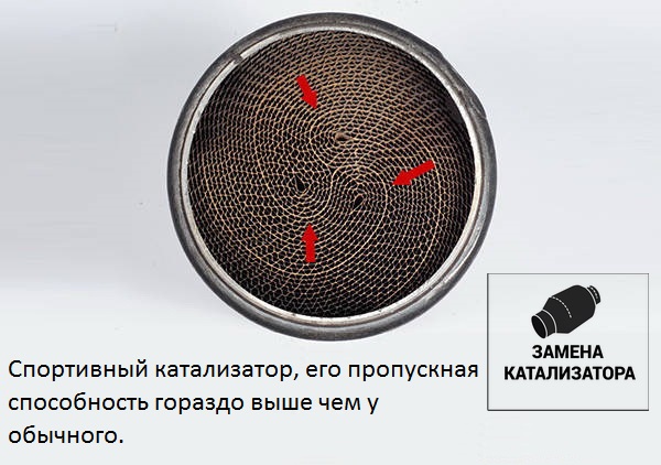 Спортивный катализатор